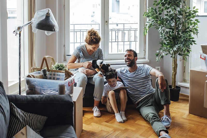 Real Estate and lifecycle : the single and multi-family housing market
